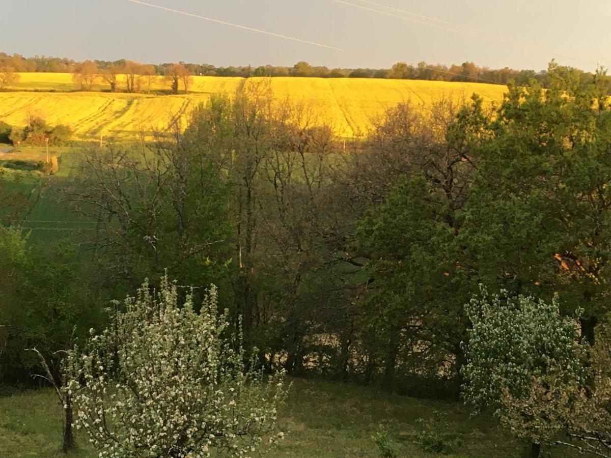 Maison Dougnac Fleurance Dış mekan fotoğraf